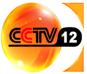 cctv-12 社会与法频道定位及收视效果