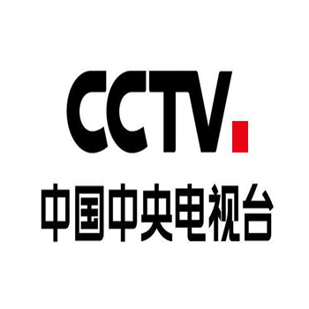 中央电视台logo L.jpg
