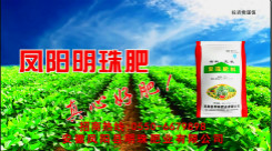 【中视百纳案例】凤阳明珠肥业有限公司投放七套广告